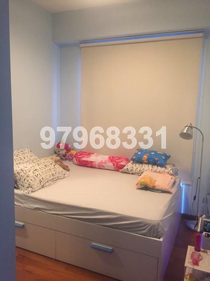 91 Marshall (D15), Apartment #138811692